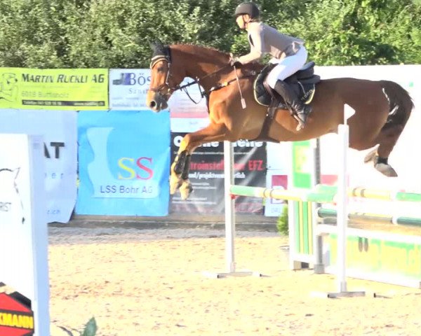 Rottaler Pferdesporttage Buholz 2018