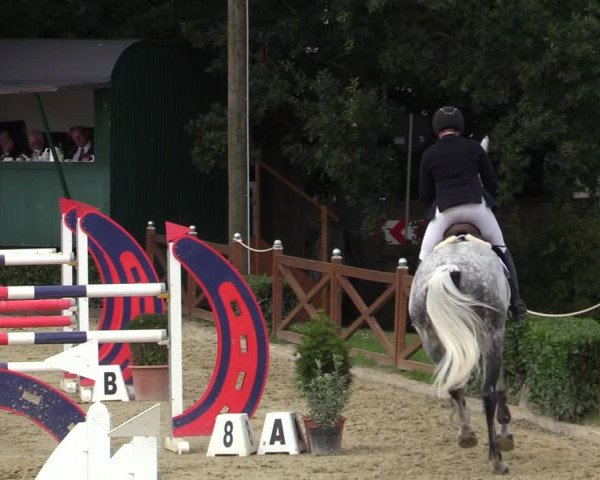 Equus Colonius - Reitanlage Brüse Köln 2021