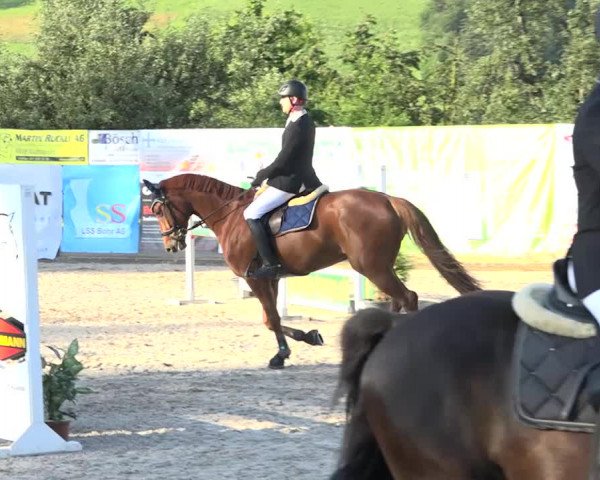 Rottaler Pferdesporttage Buholz 2018
