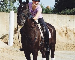 dressage horse Santinero (Hanoverian, 2006, from San Remo)