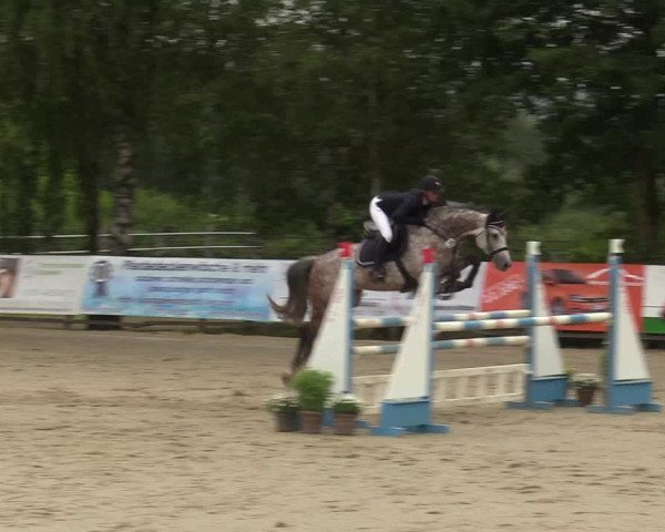 Reitturnier Schwerte-Gut Kückshausen 2018