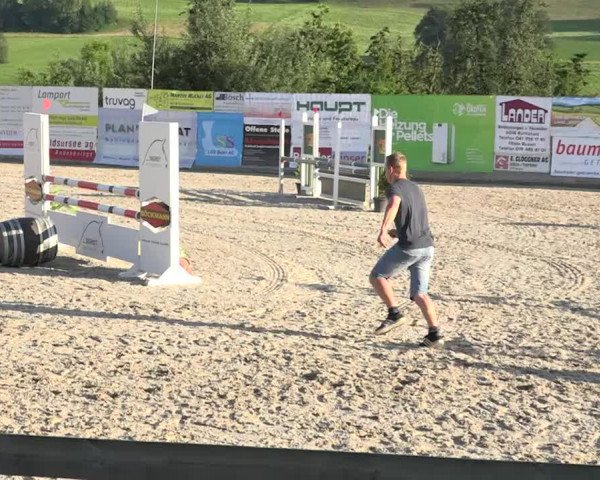 Rottaler Pferdesporttage Buholz 2018