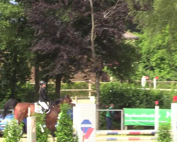 Reitturnier Schwerte-Gut Kückshausen 2018