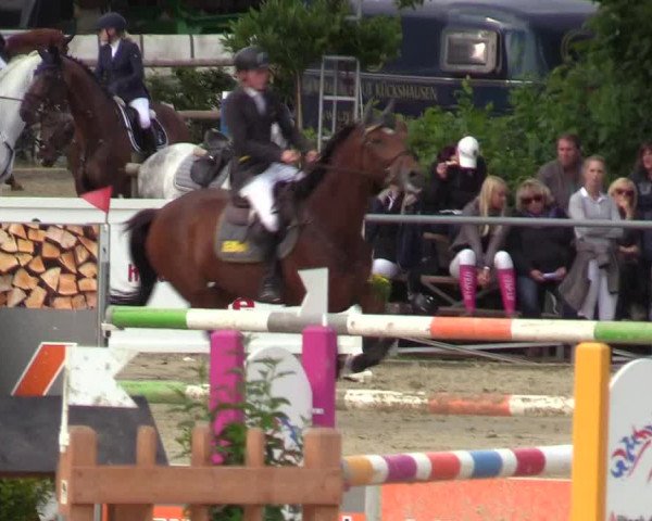 Reitturnier Schwerte-Gut Kückshausen 2018
