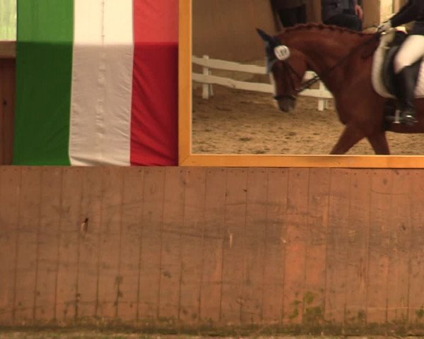 Reitturnier Schwerte-Gut Kückshausen 2018