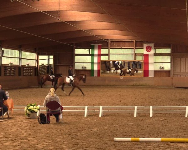 Reitturnier Schwerte-Gut Kückshausen 2018