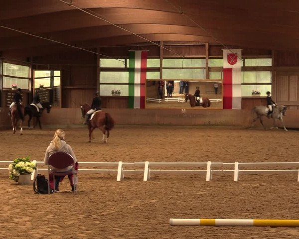 Reitturnier Schwerte-Gut Kückshausen 2018