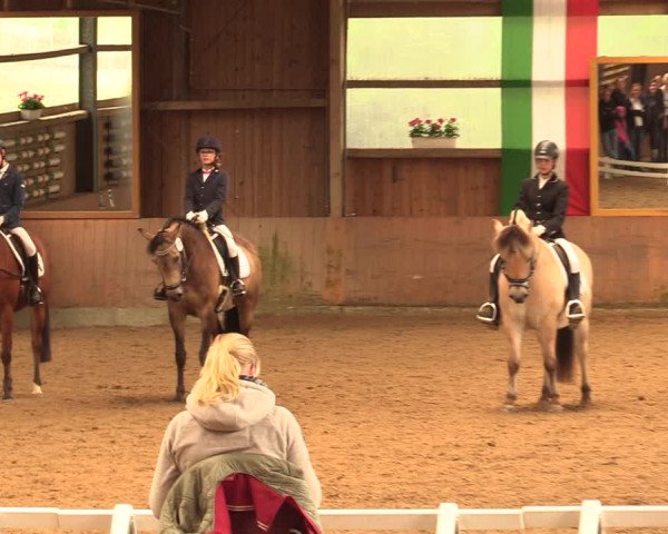 Reitturnier Schwerte-Gut Kückshausen 2018
