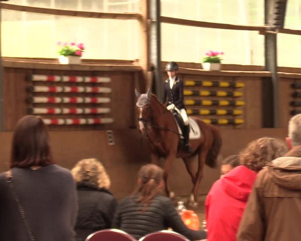 Reitturnier Schwerte-Gut Kückshausen 2018