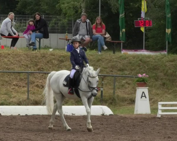 Reitturnier Wiesloch 2018
