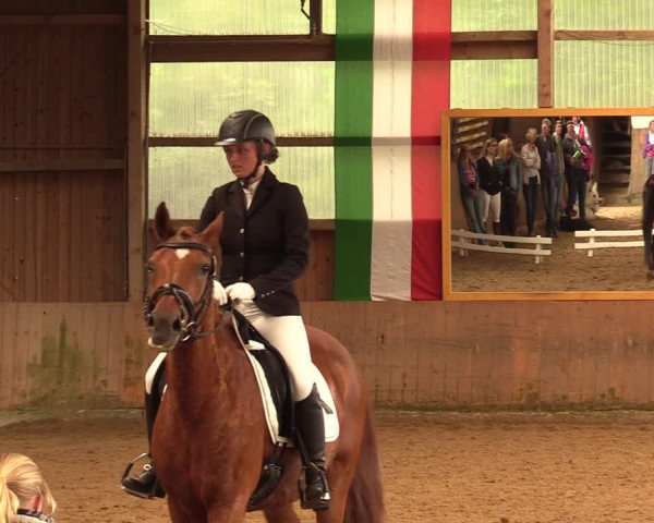 Reitturnier Schwerte-Gut Kückshausen 2018
