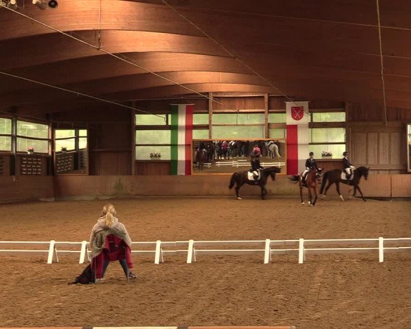 Reitturnier Schwerte-Gut Kückshausen 2018