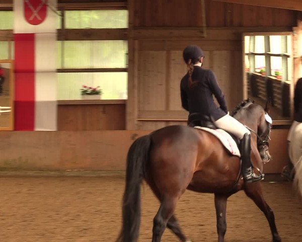 Reitturnier Schwerte-Gut Kückshausen 2018