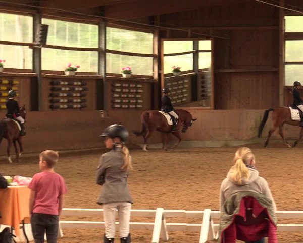 Reitturnier Schwerte-Gut Kückshausen 2018