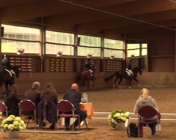 Reitturnier Schwerte-Gut Kückshausen 2018