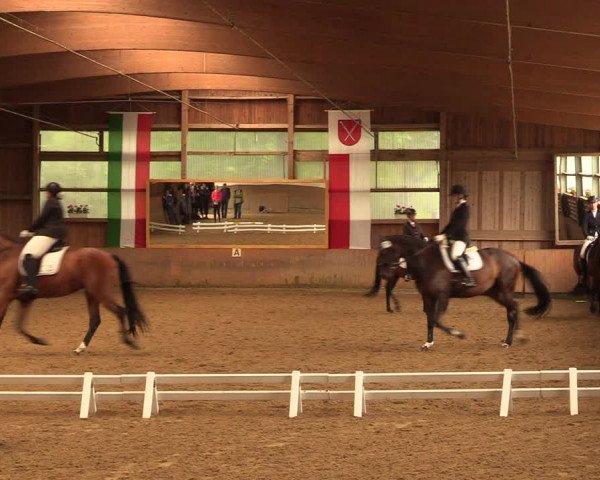 Reitturnier Schwerte-Gut Kückshausen 2018