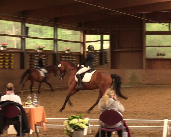Reitturnier Schwerte-Gut Kückshausen 2018