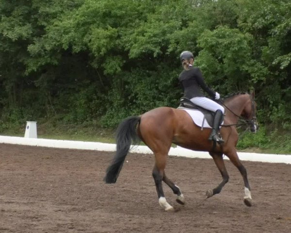 Reitturnier Wiesloch 2018