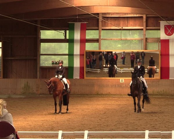 Reitturnier Schwerte-Gut Kückshausen 2018