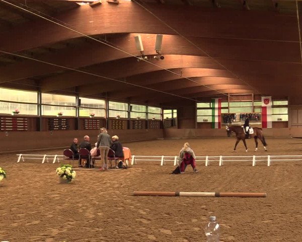 Reitturnier Schwerte-Gut Kückshausen 2018