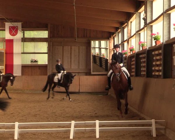 Reitturnier Schwerte-Gut Kückshausen 2018