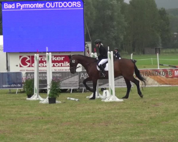 Reitturnier Bad Pyrmont 2018