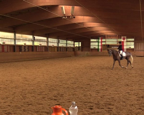 Reitturnier Schwerte-Gut Kückshausen 2018
