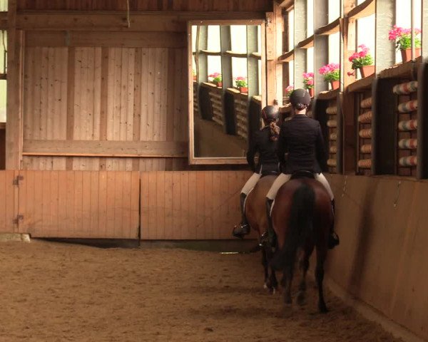 Reitturnier Schwerte-Gut Kückshausen 2018