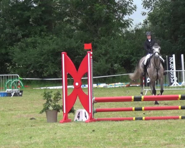 Reitturnier Bad Pyrmont 2018