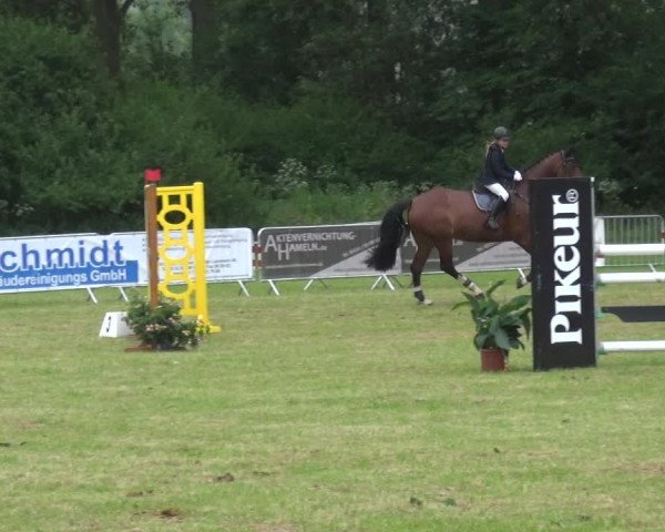 Reitturnier Bad Pyrmont 2018