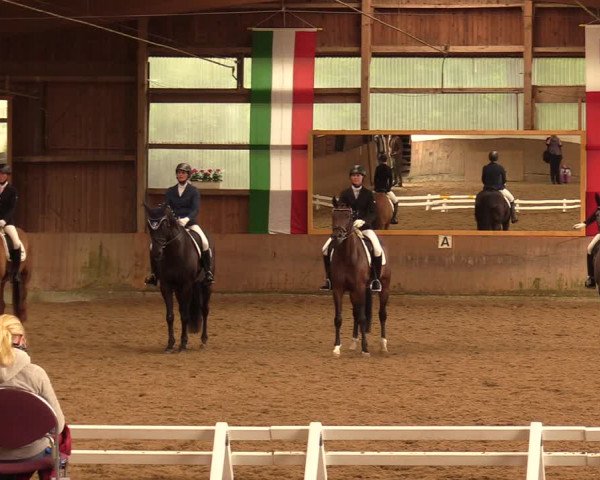Reitturnier Schwerte-Gut Kückshausen 2018