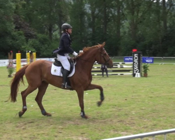 Reitturnier Bad Pyrmont 2018