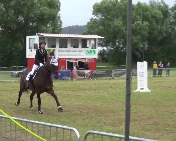 Reitturnier Bad Pyrmont 2018