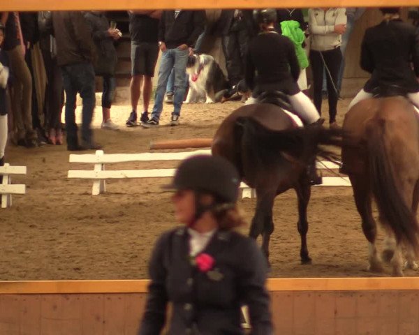 Reitturnier Schwerte-Gut Kückshausen 2018