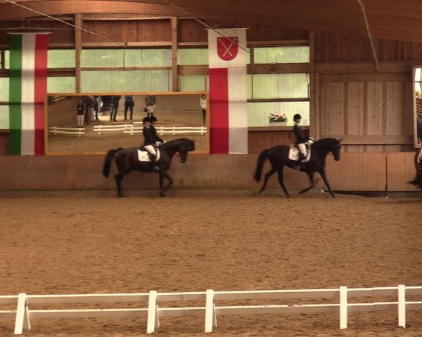 Reitturnier Schwerte-Gut Kückshausen 2018