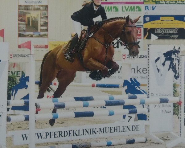 jumper Just Magic 6 (Oldenburg, 2009, from Glock's Johnson Tn)