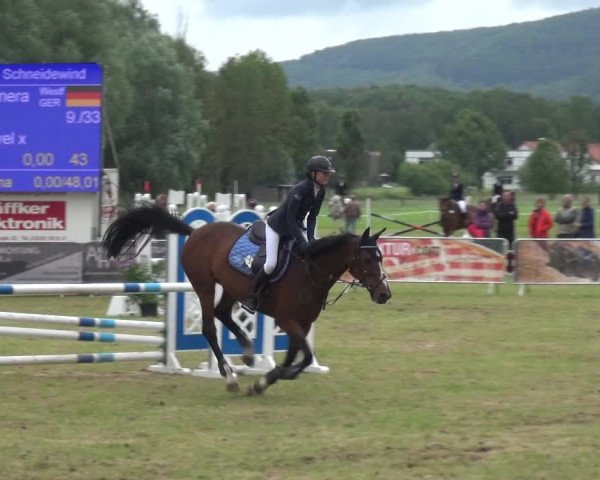 Reitturnier Bad Pyrmont 2018