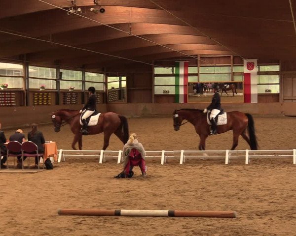 Reitturnier Schwerte-Gut Kückshausen 2018