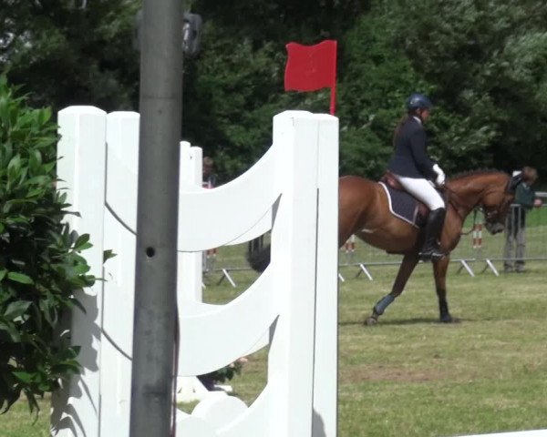 Reitturnier Bad Pyrmont 2018