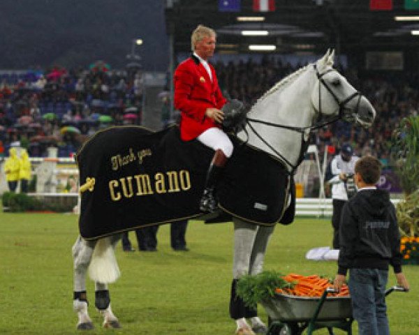 stallion Cumano (Holsteiner, 1993, from Cassini I)