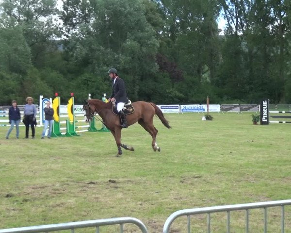 Reitturnier Bad Pyrmont 2018