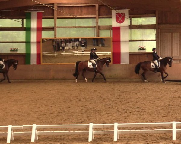 Reitturnier Schwerte-Gut Kückshausen 2018