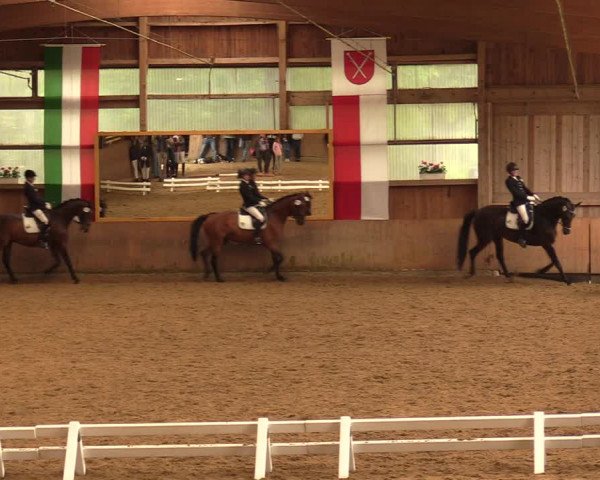 Reitturnier Schwerte-Gut Kückshausen 2018