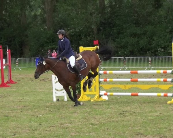 Reitturnier Bad Pyrmont 2018