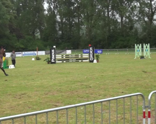 Reitturnier Bad Pyrmont 2018