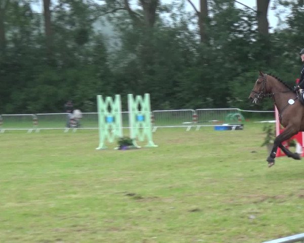 Reitturnier Bad Pyrmont 2018