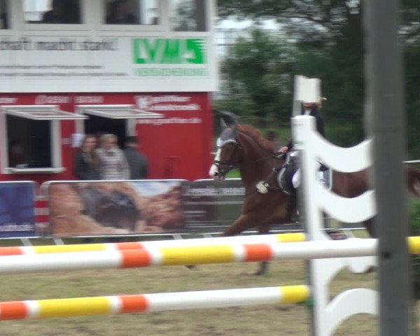 Reitturnier Bad Pyrmont 2018
