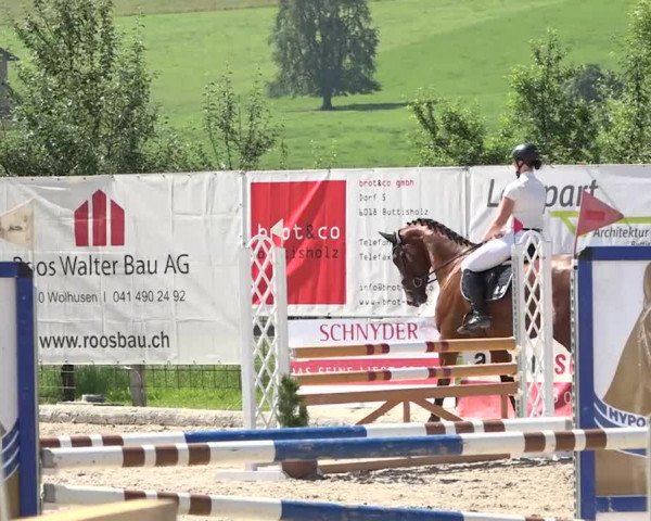 Rottaler Pferdesporttage Buholz 2018