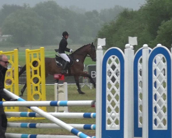 Reitturnier Bad Pyrmont 2018
