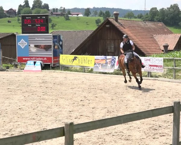 Rottaler Pferdesporttage Buholz 2018